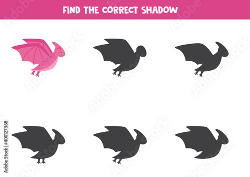Find the correct shadow of cute flying dinosaur.