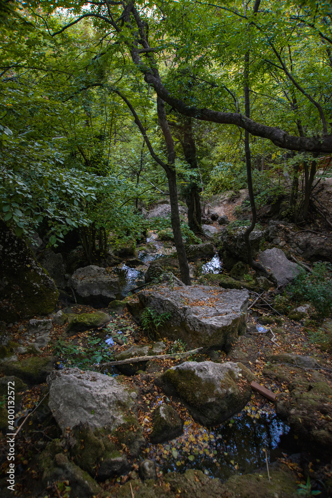 road in a mountain autumn forest road in a mountain autumn forest