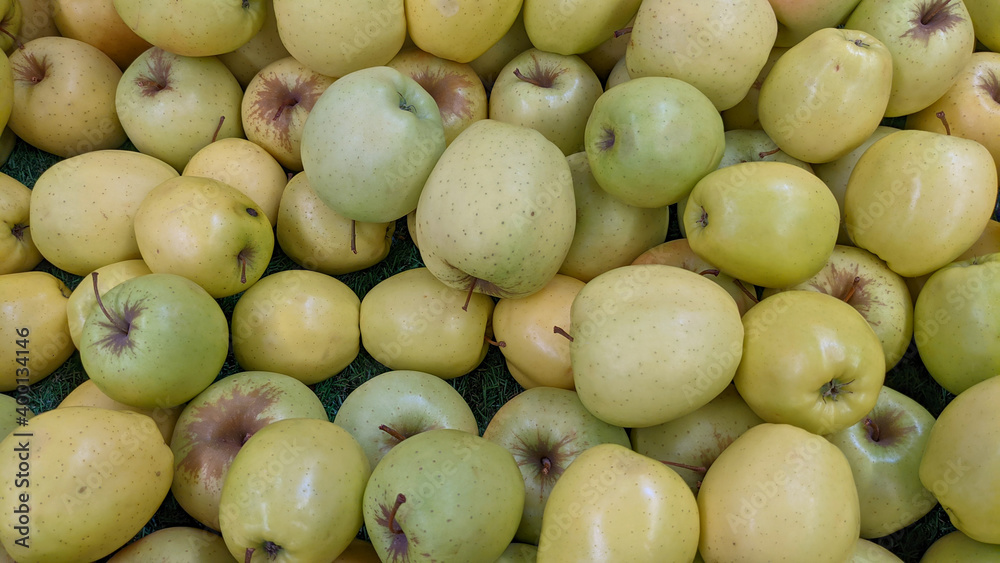 pile of fresh yellow green apple fruits natural texture apples as background pile of fresh yellow green apple fruits natural texture apples as background
