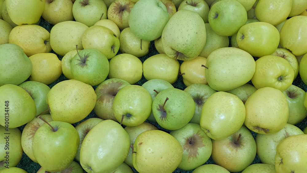 Many ripe juicy green natural apples as background Many ripe juicy green natural apples as background