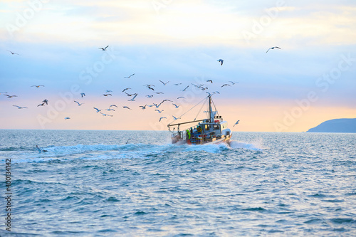 Fotografia Fishing boat surrounded by black-headed gulls in coming back to the port at the