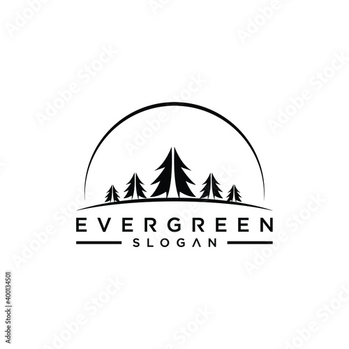 pine evergreen fir hemlock spruce conifer cedar coniferous cypress larch pinus tree forest logo design template
