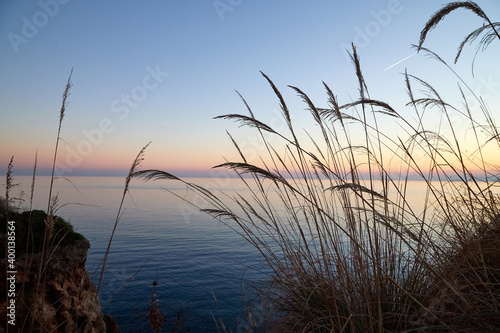 View on water of sea and yellow sunset on horizon through branch, leaves and grass on top place