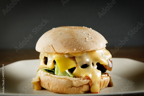 super delicious burger with melted cheese and french fries photo