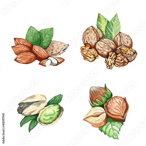 Watercolor set of nuts and seeds isolated on white background