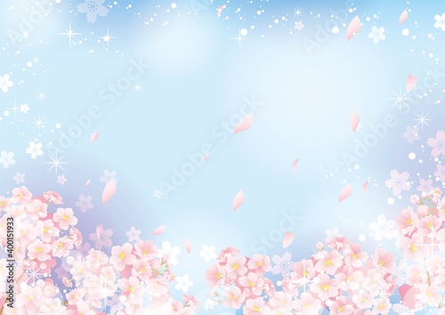 桜の背景02