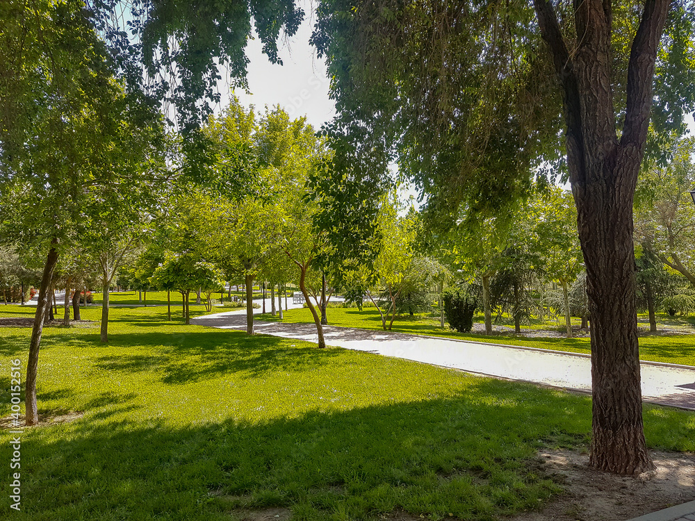 Obraz premium Path inside a park full of trees