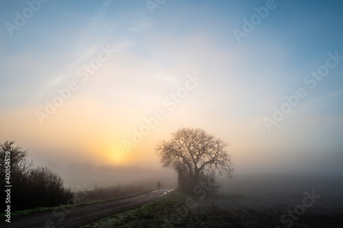 Fototapeta Naklejka Na Ścianę i Meble -  sunrise in the fog