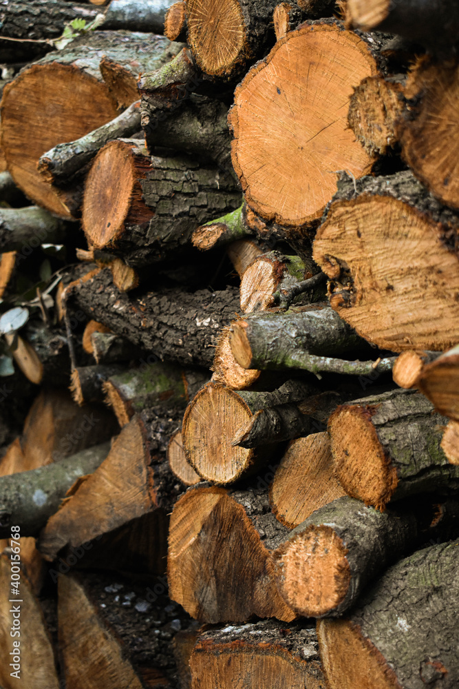 wooden logs wooden logs