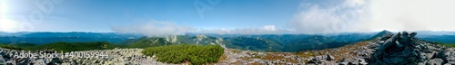 beautiful panorama with alpine pine and mountains under blue sky