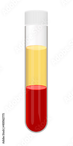 Vector illustration of a test tube with blood after separation of plasma isolated on white background. Platelet-rich plasma, platelet-poor plasma, PRP, PPP. Blood fractionation, centrifuging the blood