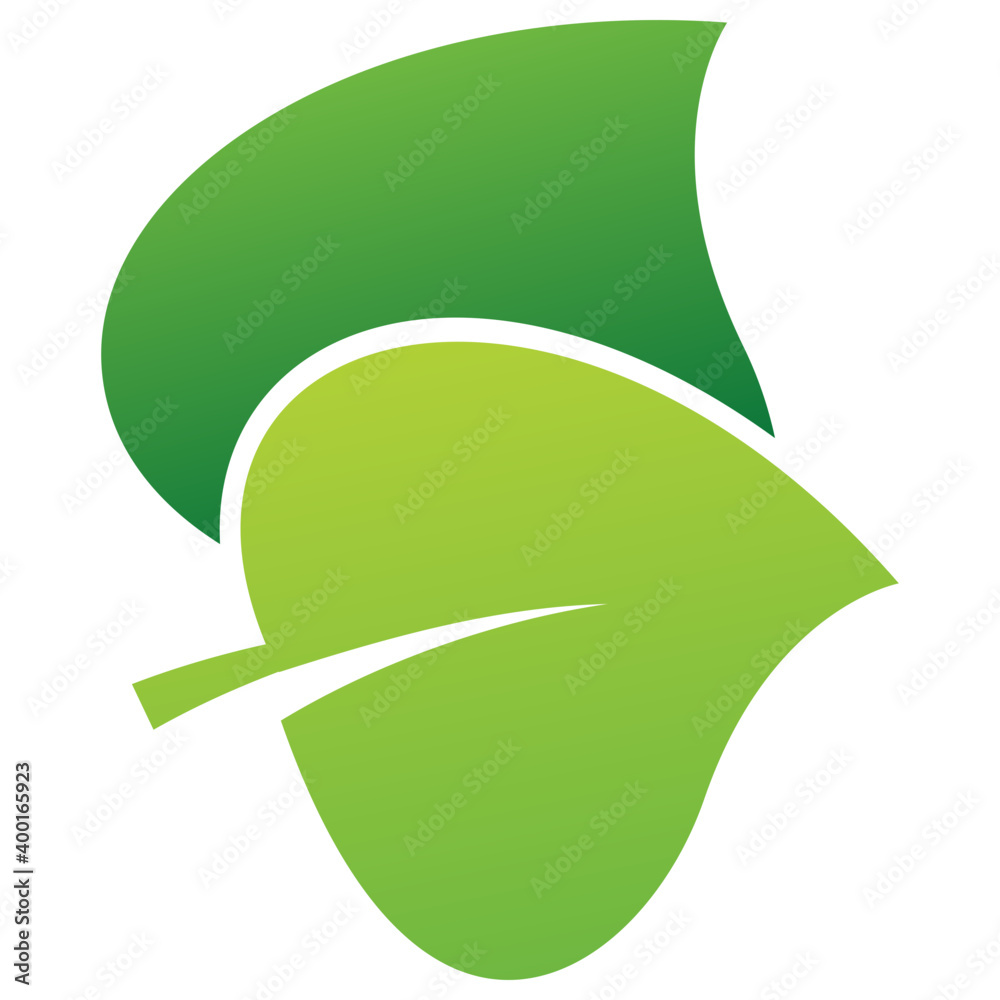 Birch Leaves Design Birch Leaves Design