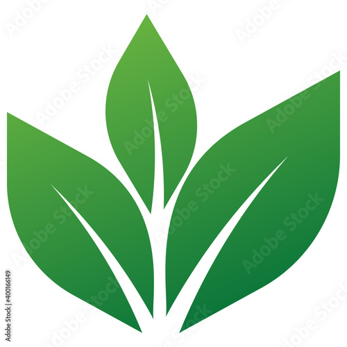 Eco Leaves Vector 