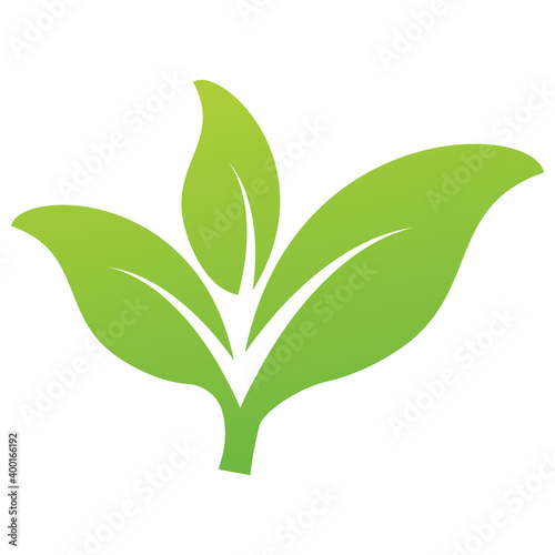 Eco Leaves Vector 