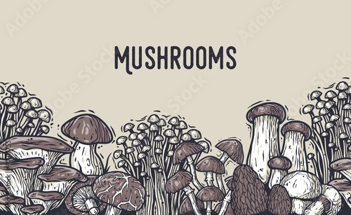 Autumn forest mushroom picking, vegetarian menu frame