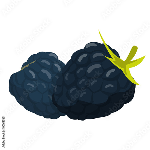 Blackberry vector isolated. Sweet fruit, juicy ripe food. Fresh natural product, vegetarian and vegan meal. Black berry with green leaf.