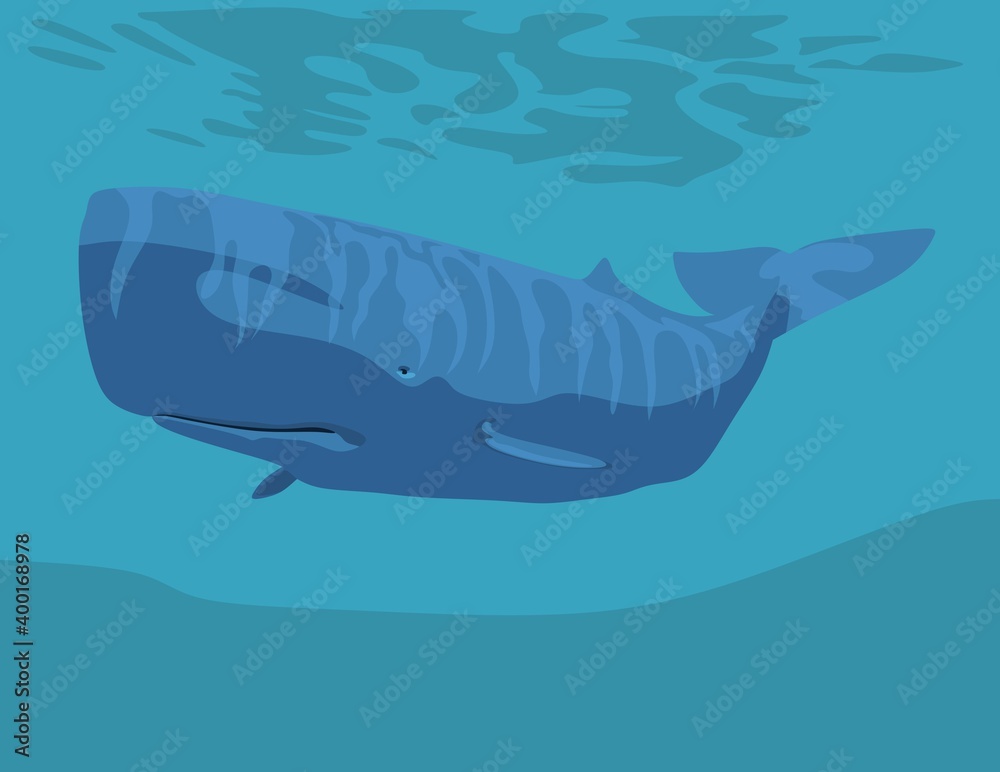 Fototapeta premium marine art - cachalot floating in the ocean