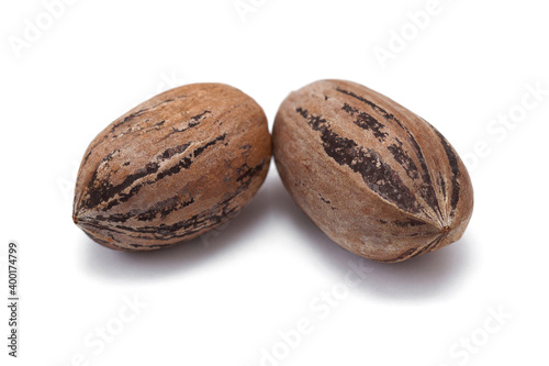 Pecans isolated on a white Background