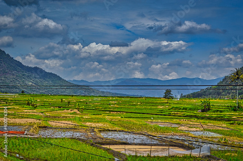 rice field in the mountains