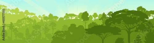 Deciduous forest. Silhouette. Mature  spreading trees. Thick thickets. Hills overgrown with plants. Sky. Vector