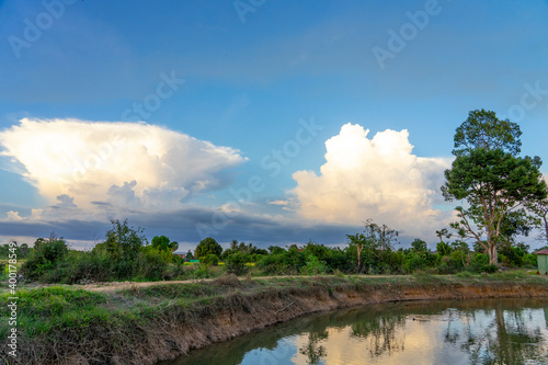 Calm pond with clear sky reflecting in the evening at the countryside