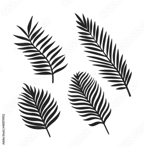 Tropical leaves silhouettes vector set isolated on white background