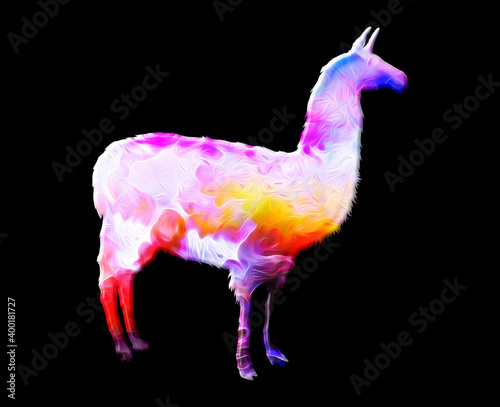Llama Animal Colorful Watercolor graphic illustration © SunFrot