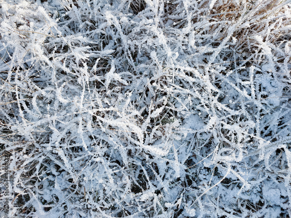 A view of dry grass covered with crystals of frost on a frosty sunny day. A view of dry grass covered with crystals of frost on a frosty sunny day.