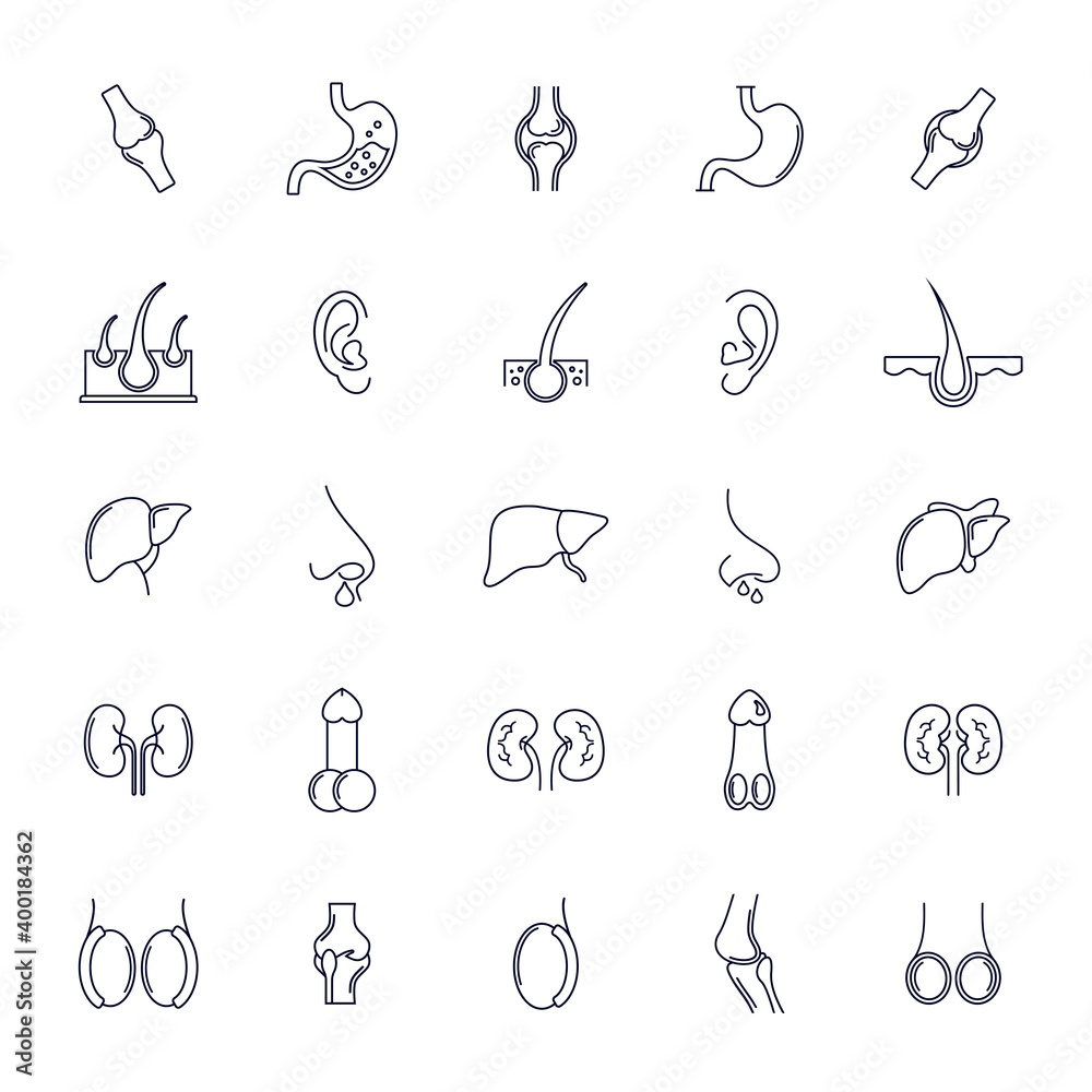 Set of Organ human logo design vector template, Organs logo design concept, Icon symbol