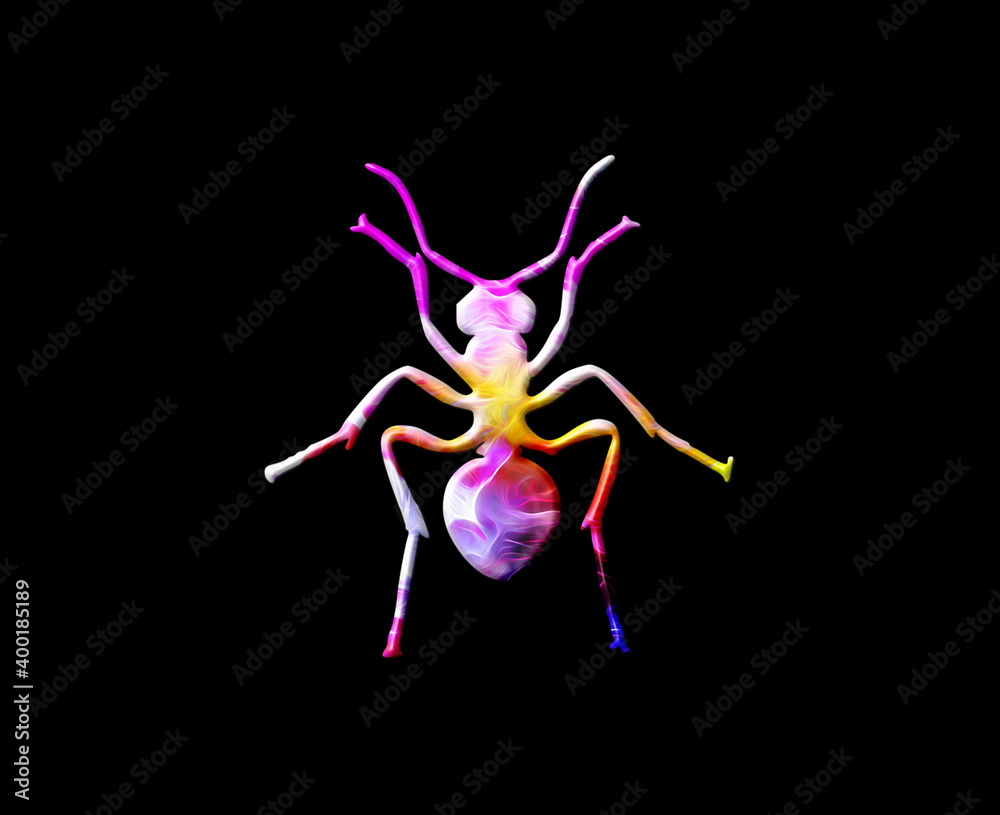 Ant Colorful Watercolor graphic illustration