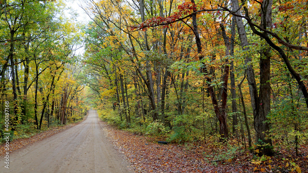 Tree lined dirt road with autumn foliage Tree lined dirt road with autumn foliage