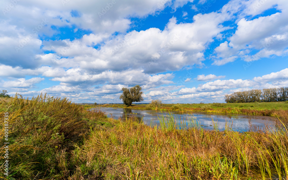 Fototapeta premium Summer landscape with cloudy sky.