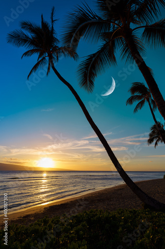 sunset on beach with palm trees and moon