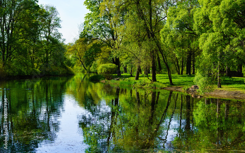 The beauty of forest landscapes.