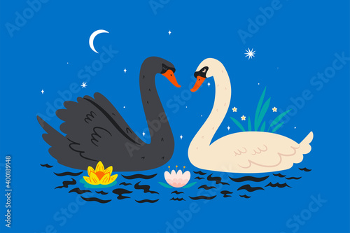 Postcard with swans on the pond. Vector graphics.
