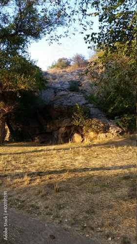 autumn in the forest