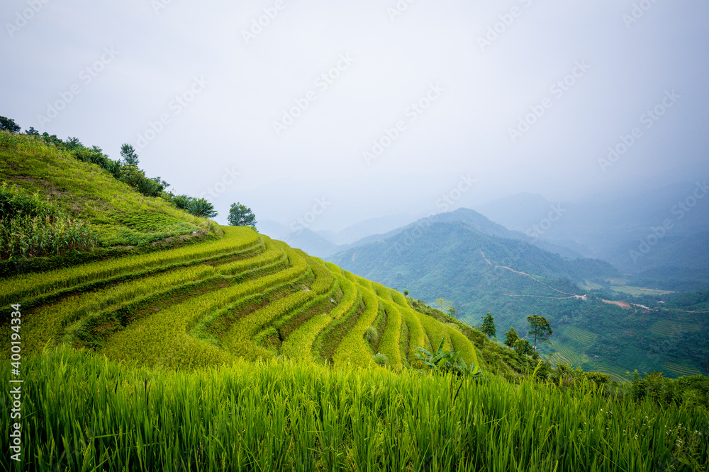 Beautiful view of Rice terrace and houses at Hoang Su Phi. Viewpoint in Hoang Su Phi district, Ha Giang province, Vietnam