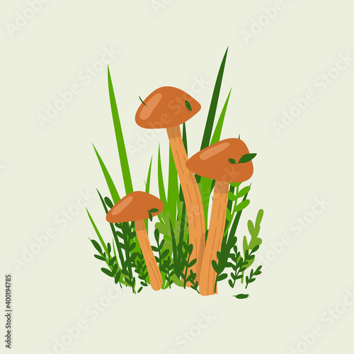 Wild boletus mushrooms, autumn colors, for cards or invitations, stickers