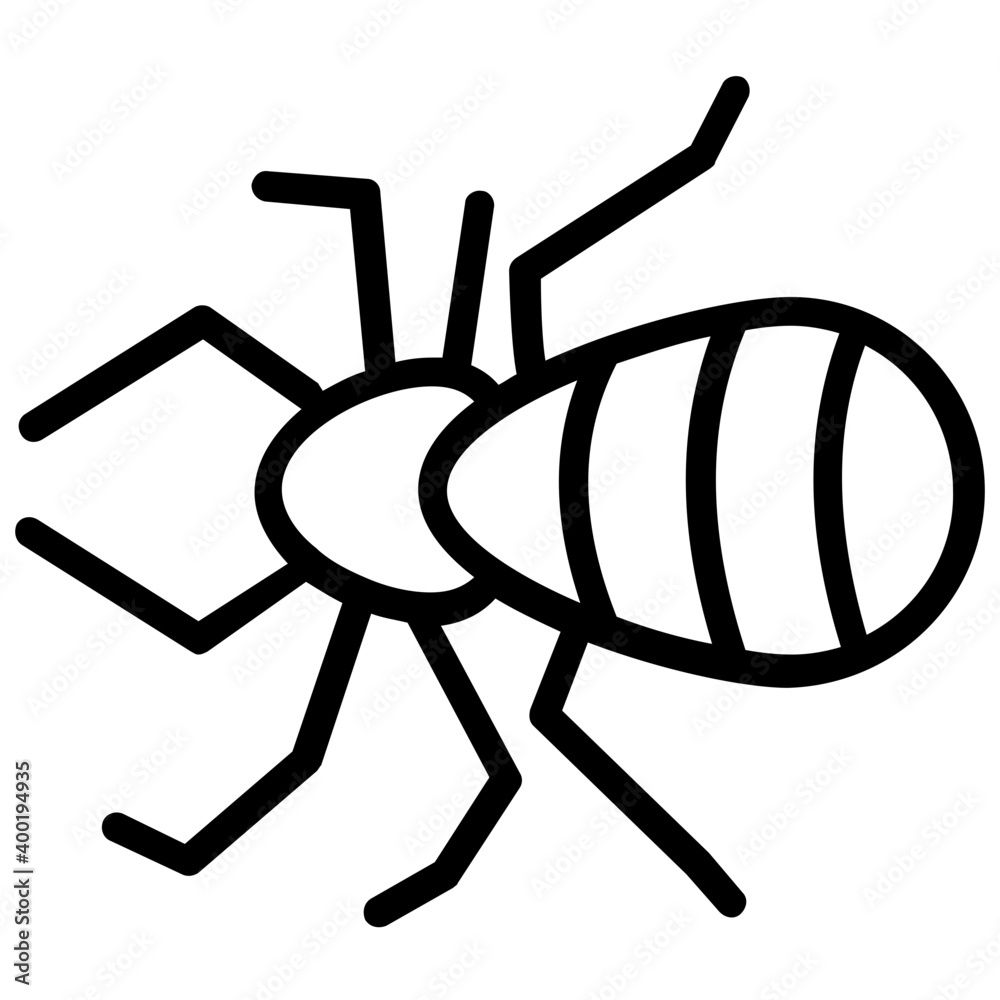 Spider Spider