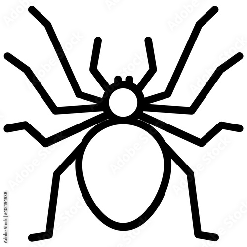 Spider