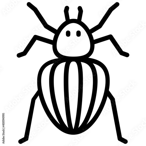Colorado beetle 
