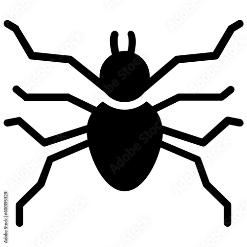 Cellar spider 