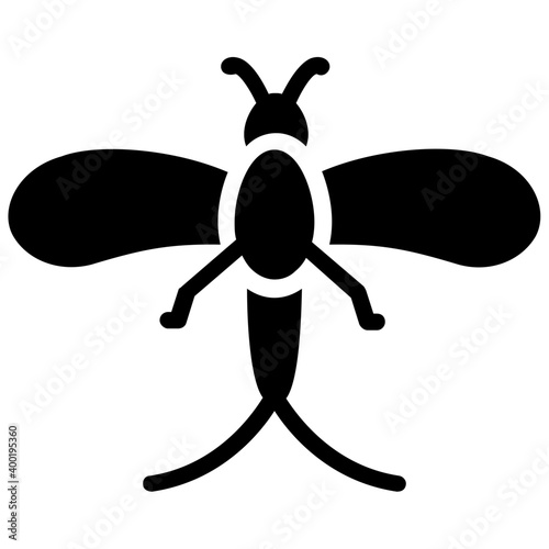 Mayfly