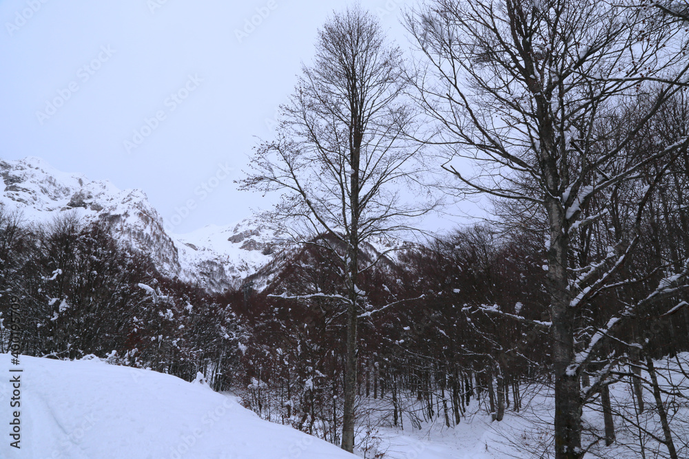Snow covers the Piancavallo landscape, Italy Snow covers the Piancavallo landscape, Italy