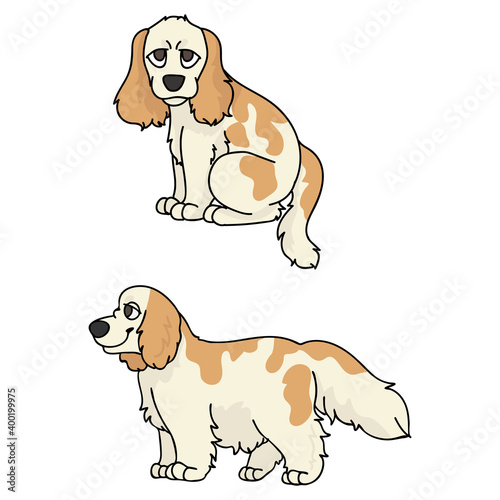 Cute cartoon Cocker Spaniel puppy vector clipart. Pedigree kennel doggie breed for kennel club. Purebred domestic dog training for pet parlor illustration mascot. Isolated canine breed. 