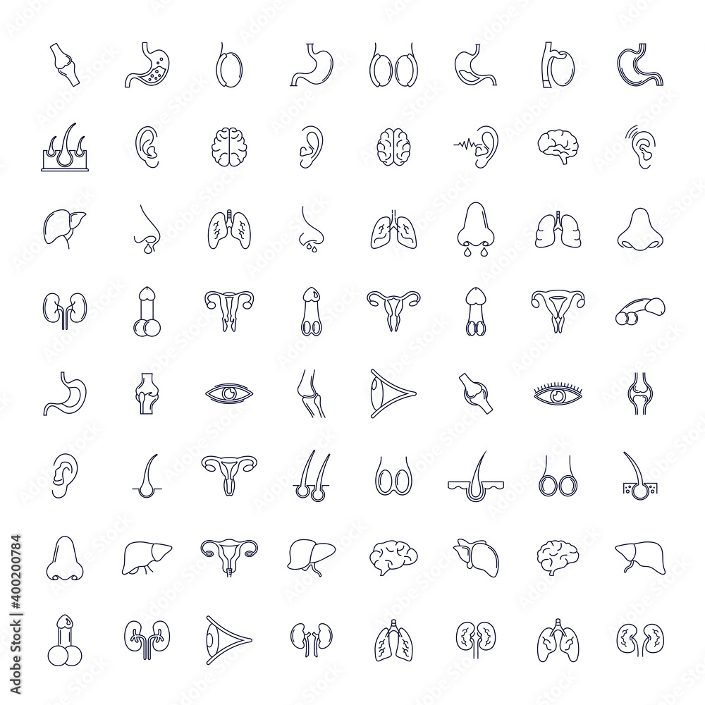Set of Organ human logo design vector template, Organs logo design concept, Icon symbol Set of Organ human logo design vector template, Organs logo design concept, Icon symbol