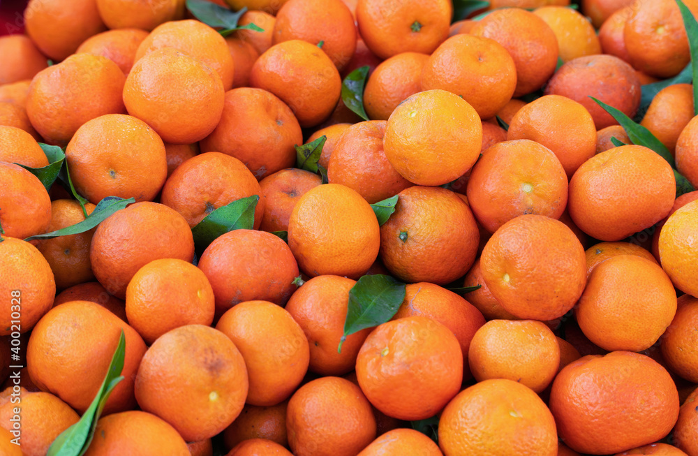 A group of oranges and mandarins of various sizes, photographed at the city market.