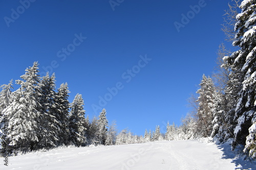 The recreation area in winter, Sainte-Apolline