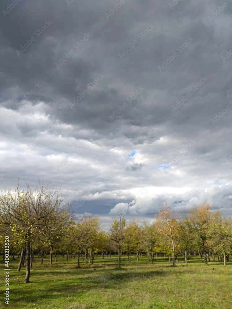 Obraz premium nature