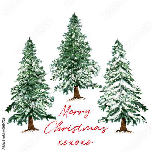 Beautiful vector Christmas tree card hand drawn watercolor style